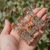 Botanical Spiritual Still Life | Meriem Chrrouhi Three corked botanical bottles resting in an open hand against a soft garden background.