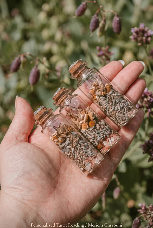 Botanical Spiritual Still Life | Meriem Chrrouhi Three corked botanical bottles resting in an open hand against a soft garden background.