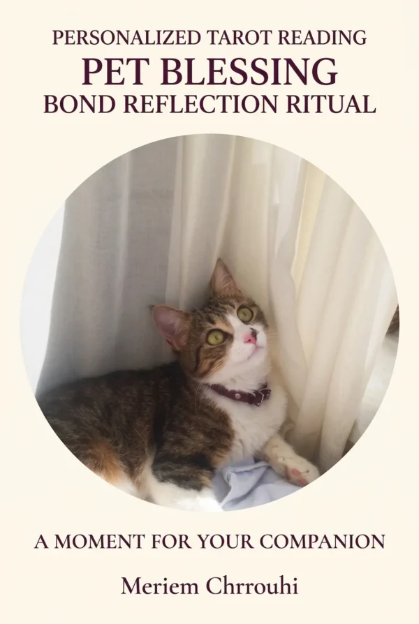 Pet Blessing and Bond Reflection Ritual — a tabby cat with a burgundy collar resting beside pale curtains and looking upward